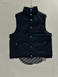 Picture for category Dior Down Jackets